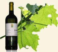 Colli Piacentini D.O.C. Valnure 2023 "Riodeltordo" La Tosa