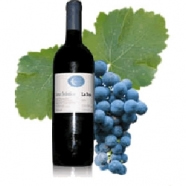 Colli Piacentini D.O.C. Cabernet Sauvignon 2020 "Luna Selvatica" - La Tosa