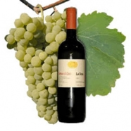 Colli Piacentini D.O.C. Malvasia 2023 " Sorriso di Cielo" - La Tosa