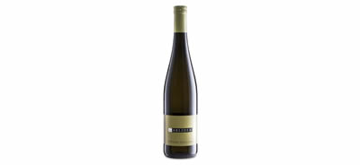 Gruner Veltliner IGT Mitterberg 2021 Tappo Vetro Garlider