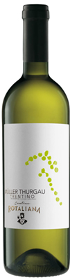 Muller Thurgau Trentino DOC 2023 - Cantina Rotaliana