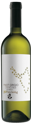 Pinot Grigio Trentino DOC 2024 Cantina Rotaliana