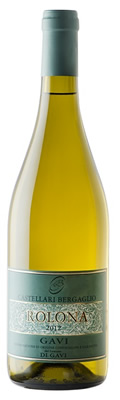 Rolona Gavi DOCG 2023 - Castellari Bergaglio